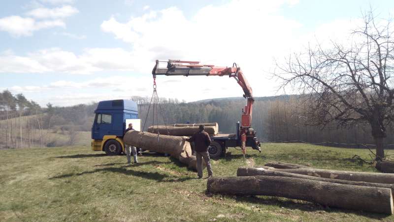 Odvoz jasanových kmenů, Libel